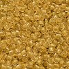 TOHO 6/0 Round Beads X-SEED-TR06-2151-3