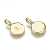 Alloy Pendants LS-X-PALLOY-N157-004B-NR-2