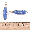 Lampwork Pendants GLAA-T023-07E-4