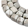 Natural Variscite Beads Strands G-D098-D09-4