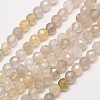 Natural Botswana Agate Beads Strands G-A129-2mm-18-1