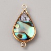 Natural Paua Shell Connector Charms LS-KK-WH0062-100KCG-A-1