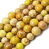 Natural Imperial Jasper Graduated Beads Strands G-A323-C03-01D-2