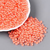 FGB Glass Seed Beads SEED-Q040-08A-05-1