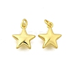 Brass Pendants KK-I275-09G-02-1