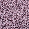 MIYUKI Delica Beads Small SEED-X0054-DBS0379-3