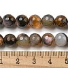 Natural Agate Beads Strands G-M437-B01-03-4