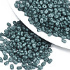 Grade A Glass Seed Beads X-SEED-R050-2376-4