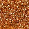 Glass Seed Beads X1-SEED-S042-04A-11-3