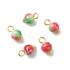 Spray Painted Resin Charms PALLOY-JF01870-01-1