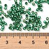 Glass Seed Beads X-SEED-S042-04B-28-4
