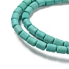 Dyed Synthetic Turquoise Beads Strands G-G075-A02-01-4