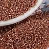 MIYUKI Round Rocailles Beads X-SEED-G009-RR0553-1
