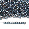 TOHO 6/0 Round Beads X-SEED-TR06-0272-4