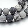 Frosted Round Natural Black Silk Stone/Netstone Bead Strands G-J276-65-10mm-1