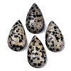 Natural Dalmatian Jasper Cabochons G-N326-72J-1