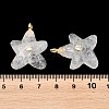 Natural Quartz Crystal Pendants G-H353-01G-02-3