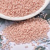 MIYUKI Delica Beads SEED-X0054-DB1493-1
