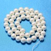 Round Shell Pearl Bead Strands BSHE-L011-8mm-A013A-3