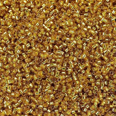 MIYUKI Delica Beads SEED-MY11-DB2157-1