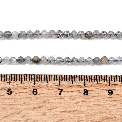 Natural Labradorite Beads Strands LS-G-RM250104-E8-1