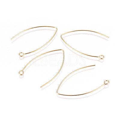 304 Stainless Steel Earring Hooks STAS-F227-26B-G-1
