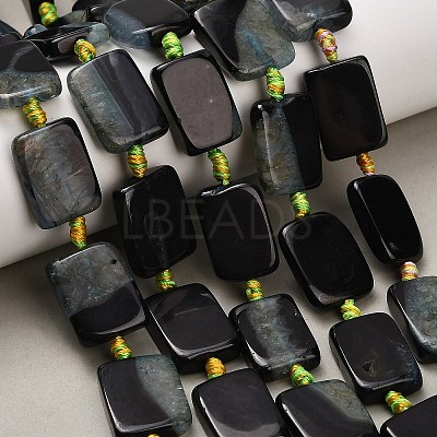 Natural Agate Beads Strands G-A321-A01-01B-1