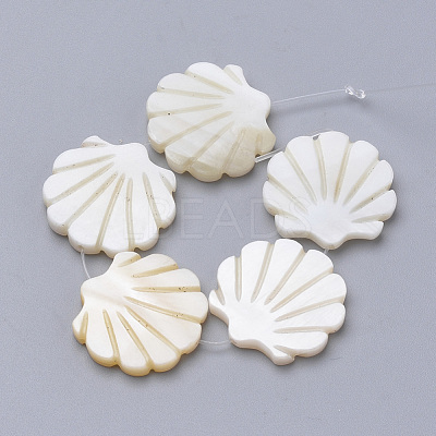 Natural Freshwater Shell Beads SHEL-T007-02-1