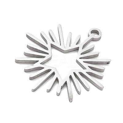 304 Stainless Steel Pendants SA-CBAAC28-05P-1