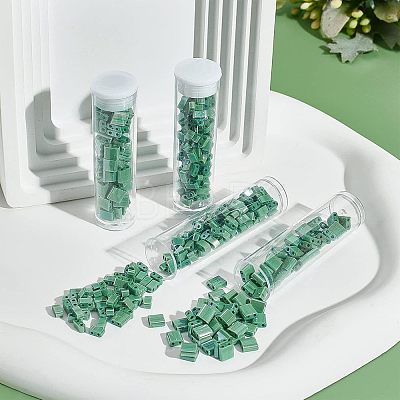 520Pcs 2 Style 2-Hole Glass Seed Beads SEED-NB0001-72B-1