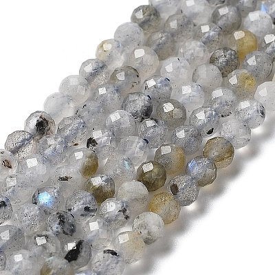 Natural Labradorite Beads Strands LS-G-I341-11-1