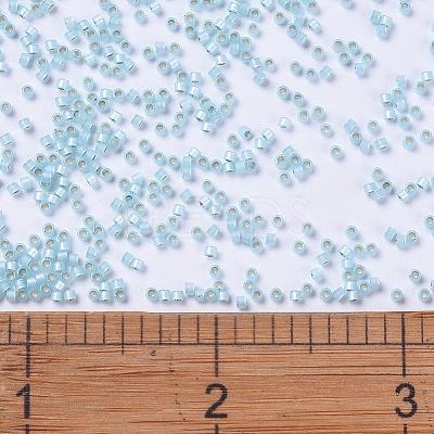 MIYUKI Delica Beads SEED-J020-DB0628-1