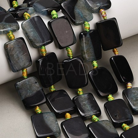 Natural Agate Beads Strands G-A321-A01-01B-1