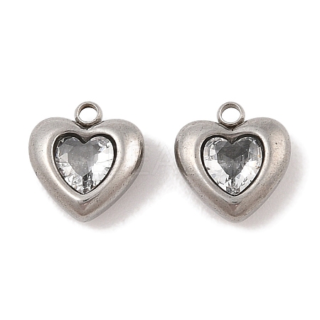 304 Stainless Steel Micro Pave Cubic Zirconia Charms STAS-S131-17P-04-1