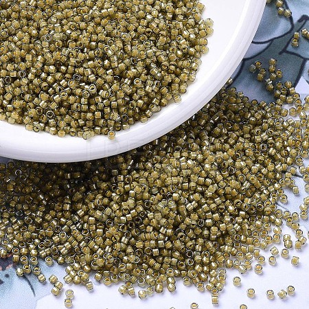 MIYUKI Delica Beads LS-X-SEED-J020-DB2046-1