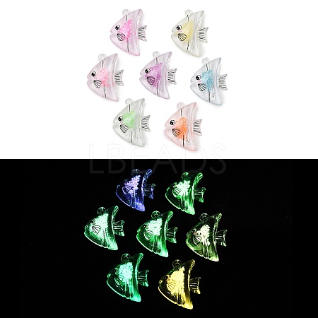 Transparent Luminous Acrylic Pendants TACR-Z002-01-1