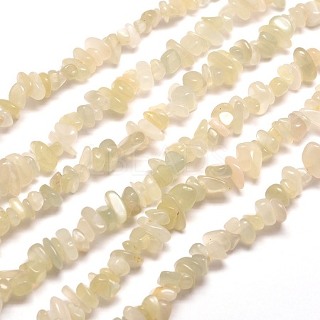 Natural White Moonstone Chip Bead Strands G-M205-65-1