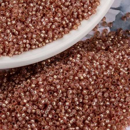 MIYUKI Round Rocailles Beads X-SEED-G009-RR0553-1