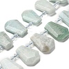 Natural Amazonite Beads Strands G-H078-A06-01-1