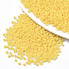 Baking Paint Glass Seed Beads SEED-S042-05A-06-1