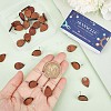 SUNNYCLUE 15 Pairs Walnut Wood Teardrop Stud Earring Findings EJEW-SC0001-29-3