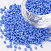 12/0 Glass Seed Beads SEED-US0003-2mm-43B-1