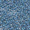 TOHO 6/0 Round Beads SEED-XTR06-0263-3