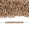 TOHO 8/0 Round Beads SEED-TR08-0989-4
