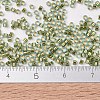MIYUKI Delica Beads SEED-X0054-DB2522-4