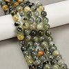 Natural Prehnite Beads Strands G-G457-10mm-03-3