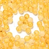 Frosted Transparent Acrylic Beads OACR-F013-13I-1