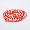 AB Color Plated Faceted Rondelle Electroplate Glass Beads Strands GLAA-A024D-AB04-2