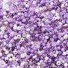 Opaque & Transparent Inside Colours Glass Seed Beads SEED-F004-01D-3
