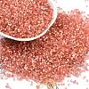 Imitation Cat Eyes Glass Seed Beads X-SEED-H003-03M-1
